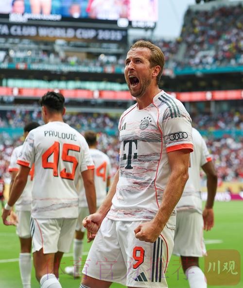 世界杯德国凯恩焦点对决全面分析